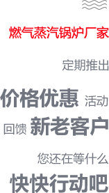 天燃气蒸汽锅炉厂家